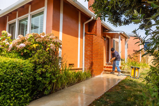 Best Concrete Pressure Washing  in Dolan Springs, AZ
