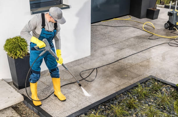 Best Affordable Power Washing  in Dolan Springs, AZ