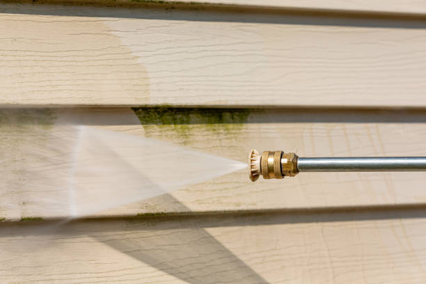 Best Power Washing Near Me  in Dolan Springs, AZ