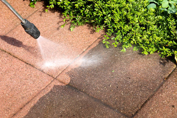 Best Residential Pressure Washing Services  in Dolan Springs, AZ