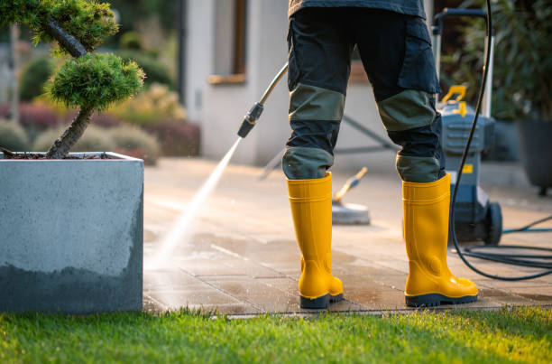 Best Commercial Pressure Washing  in Dolan Springs, AZ